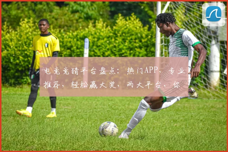 电竞竞猜平台盘点：热门APP，专业推荐，轻松赢大奖，两大平台，你选哪个